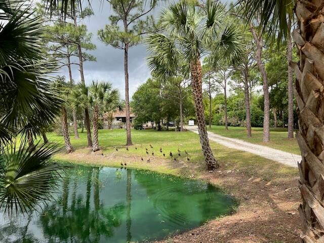 17101 Haynie Lane, Jupiter Farms, FL 33478, Jupiter, FL 33478