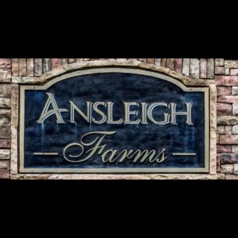 764 Stable View Loop, Dallas, GA 30132