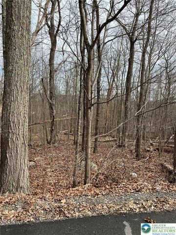 190 Williams Lane, Pocono Twp, PA 18355