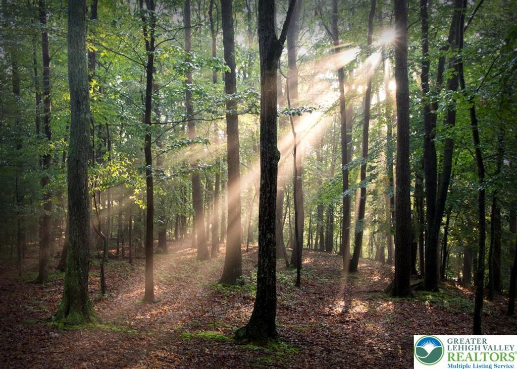 190 Williams Lane, Pocono Twp, PA 18355