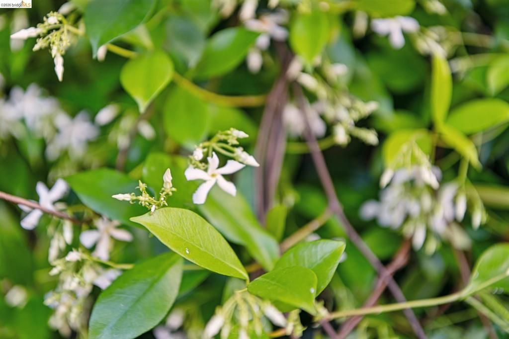 Image 40 of property listing at 575 58th St, Oakland, CA 94609