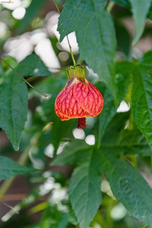 Image 41 of property listing at 575 58th St, Oakland, CA 94609