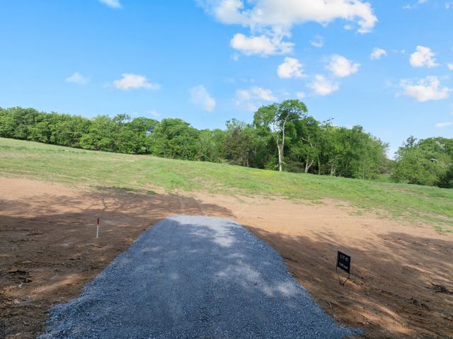 0 Old Hwy 64, Wartrace, TN 37183
