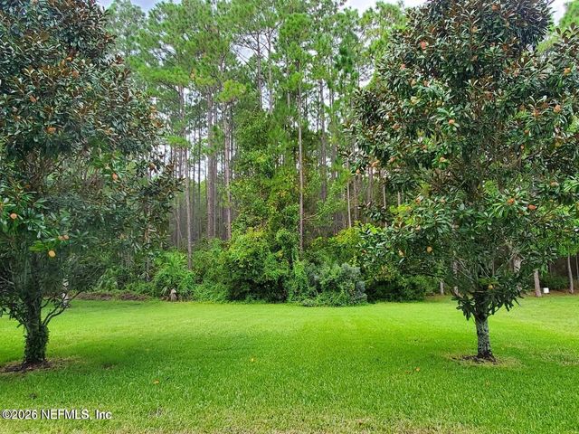 161 FLOWER OF SCOTLAND Avenue, St. Johns, FL 32259