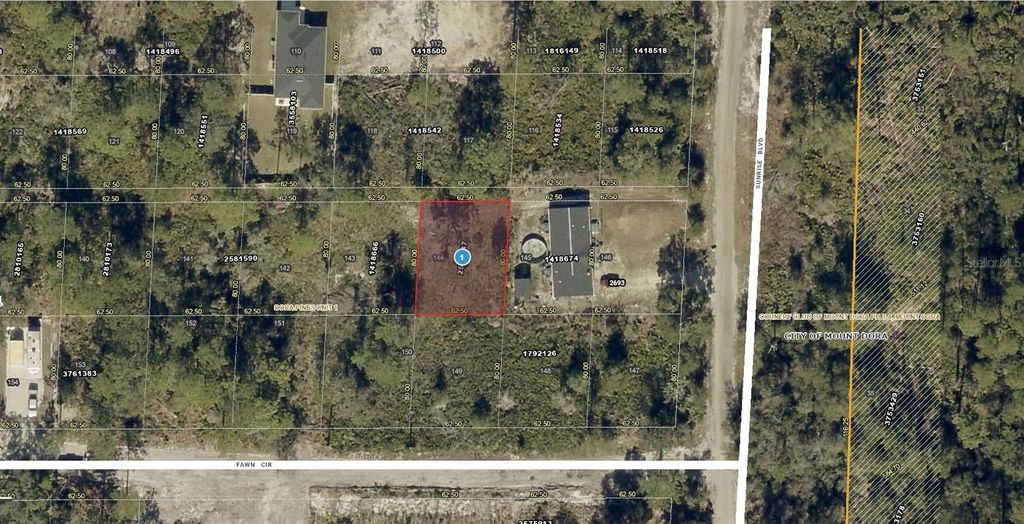 SUNRISE BOULEVARD, Mount Dora, FL 32757