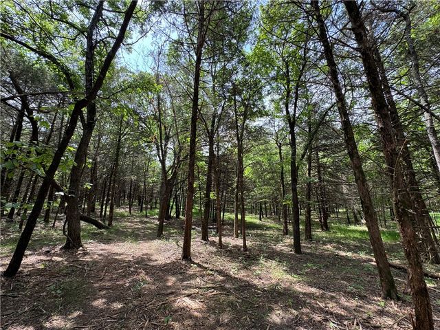 Tract 3a & 2a Downing Road, Elkins, AR 72727