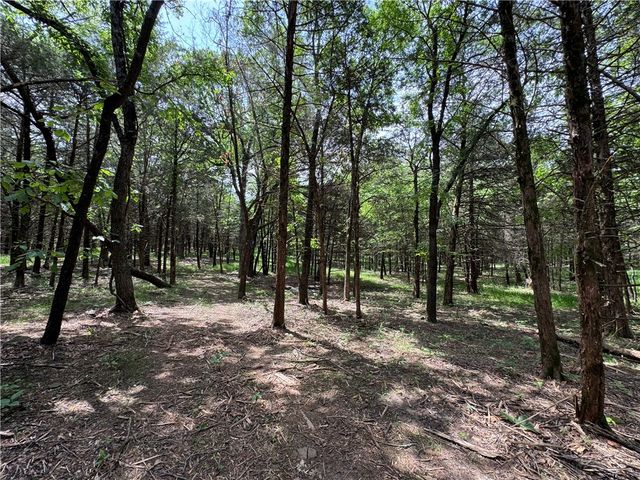 Tract 3a & 2a Downing Road, Elkins, AR 72727