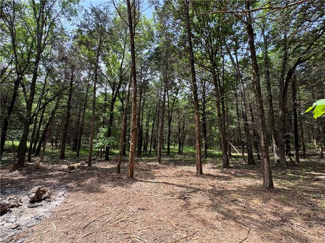 Tract 3a & 2a Downing Road, Elkins, AR 72727