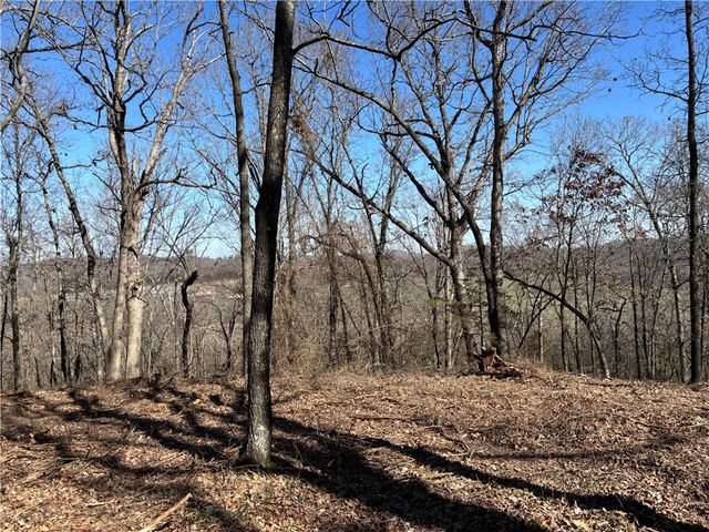 Tract 3a & 2a Downing Road, Elkins, AR 72727