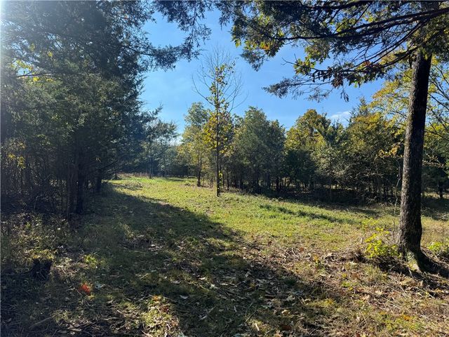 Tract 3a & 2a Downing Road, Elkins, AR 72727