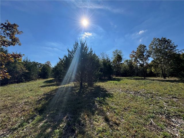 Tract 3a & 2a Downing Road, Elkins, AR 72727