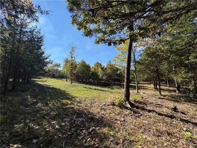 Tract 3a & 2a Downing Road, Elkins, AR 72727