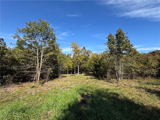 Tract 3a & 2a Downing Road, Elkins, AR 72727