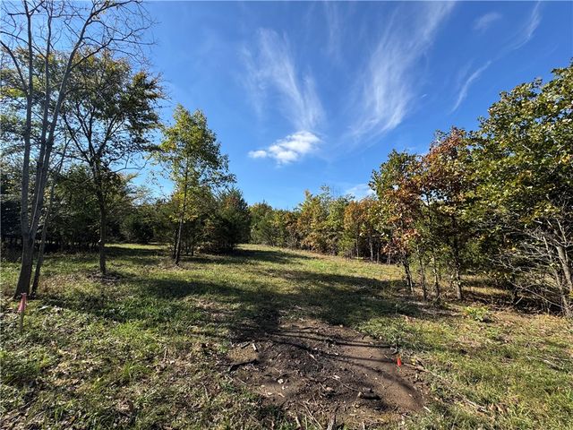 Tract 3a & 2a Downing Road, Elkins, AR 72727
