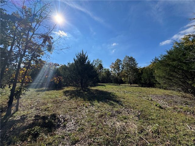 Tract 3a & 2a Downing Road, Elkins, AR 72727