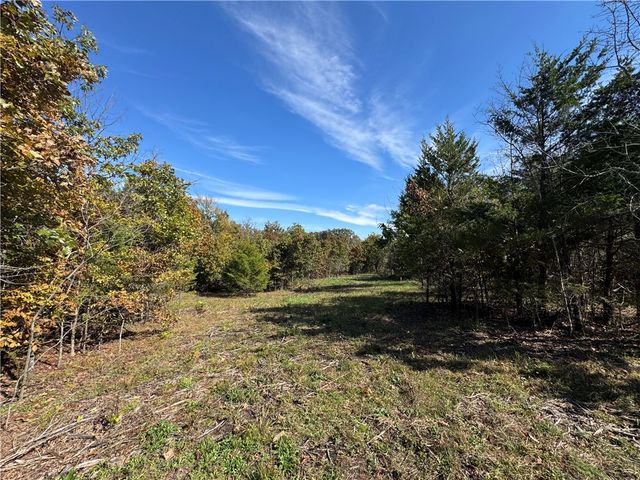 Tract 3a & 2a Downing Road, Elkins, AR 72727