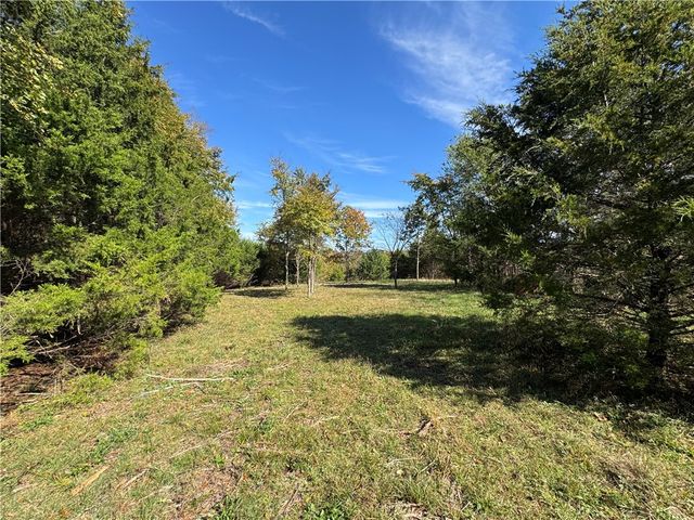 Tract 3a & 2a Downing Road, Elkins, AR 72727