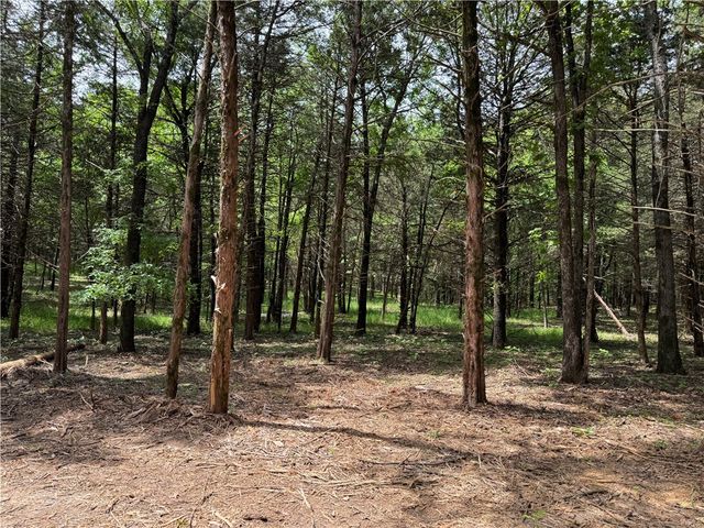 Tract 3a & 2a Downing Road, Elkins, AR 72727