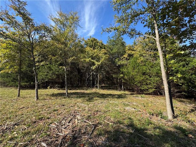 Tract 3a & 2a Downing Road, Elkins, AR 72727