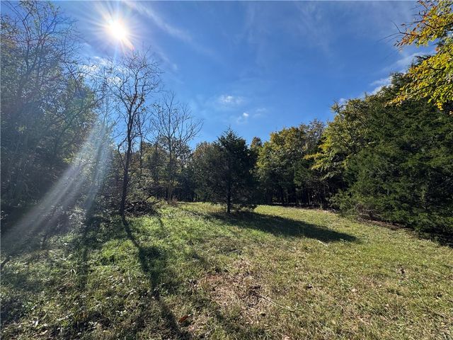 Tract 3a & 2a Downing Road, Elkins, AR 72727