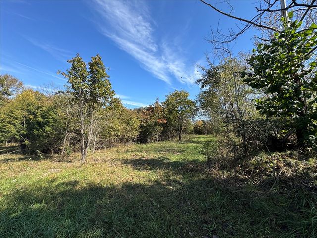 Tract 3a & 2a Downing Road, Elkins, AR 72727