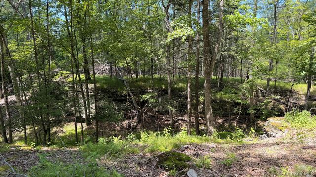 890 Lapla Road, Kingston, NY 12401