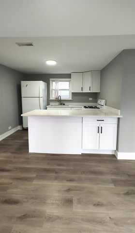 3013 S Haynes Court 2F, Chicago, IL 60608