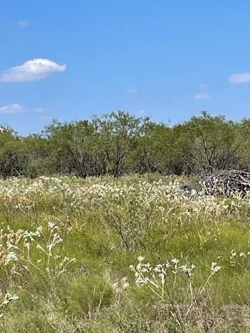 TBD County Road 3241, Hubbard, TX 76648