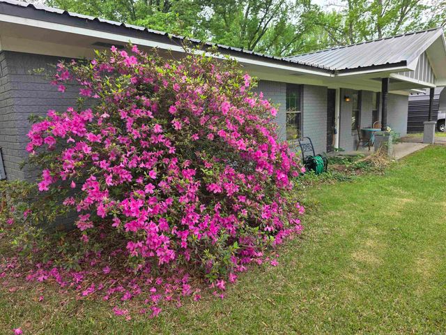 3 Big Oak, Conway, AR 72032
