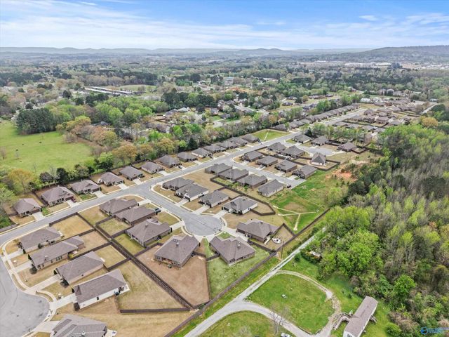 608 Covington Cove Lane, Madison, AL 35757