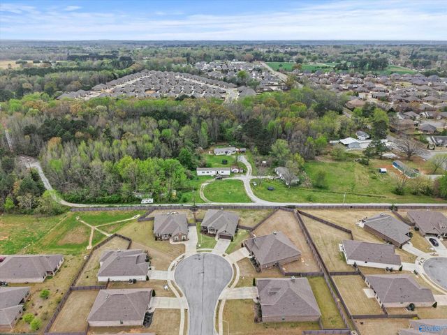 608 Covington Cove Lane, Madison, AL 35757