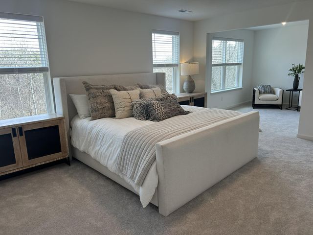 6123 Goodwin Avenue S, Cottage Grove, MN 55016