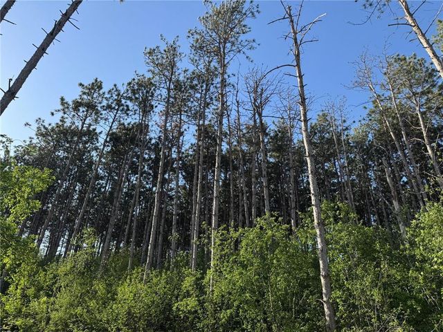 6123 Goodwin Avenue S, Cottage Grove, MN 55016