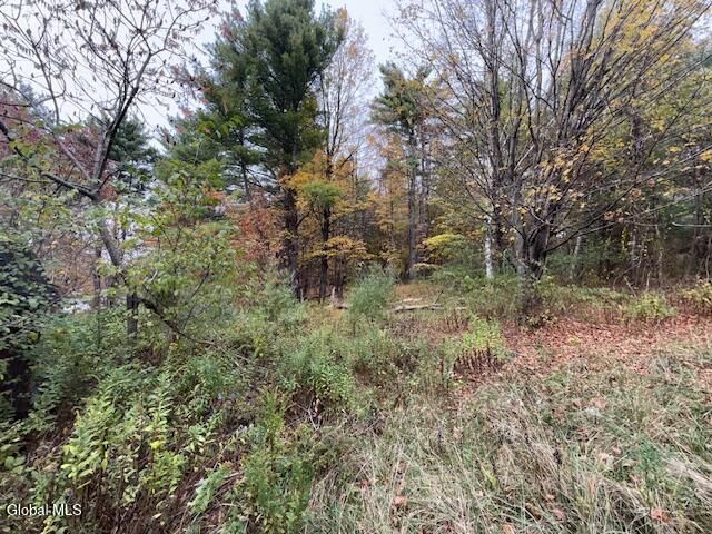 233 Keefe Road, Pittstown, NY 12180