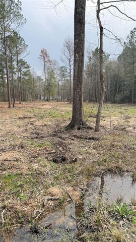 0 Dogwood Trail, Shepherd, TX 77371