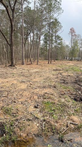 0 Dogwood Trail, Shepherd, TX 77371