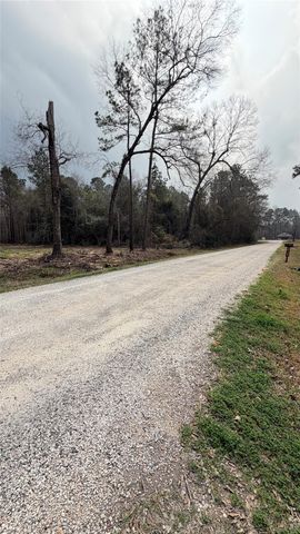 0 Dogwood Trail, Shepherd, TX 77371