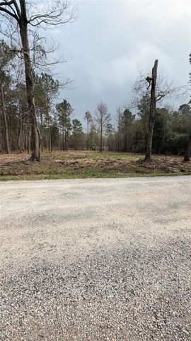 0 Dogwood Trail, Shepherd, TX 77371