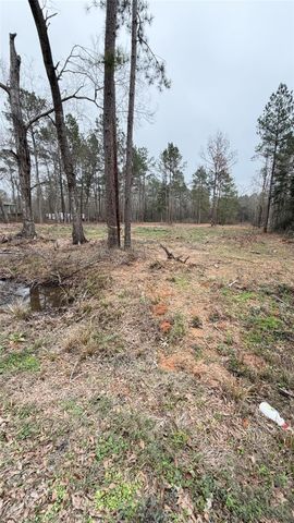 0 Dogwood Trail, Shepherd, TX 77371