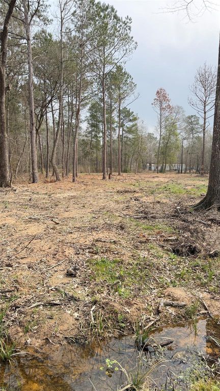 0 Dogwood Trail, Shepherd, TX 77371