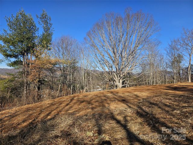 133 Windy Hill Lane, Canton, NC 28716