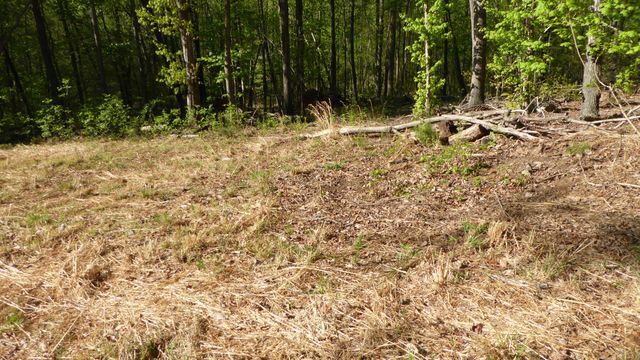 TRACT 8 Dusty LN, Martinsville, VA 24112