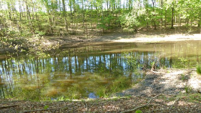 TRACT 8 Dusty LN, Martinsville, VA 24112