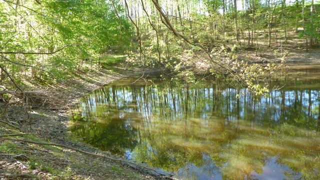 TRACT 8 Dusty LN, Martinsville, VA 24112