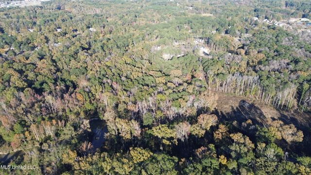 Brookhollow Court, Flowood, MS 39232