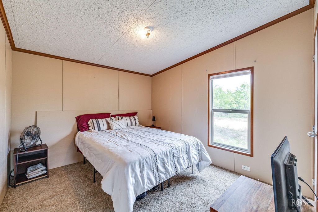Image 19 of property listing at 11833 Pin Oak Road, Carlsbad, TX 76934