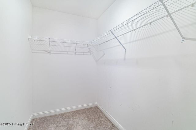 8817 Stara Way, Jeffersontown, KY 40299