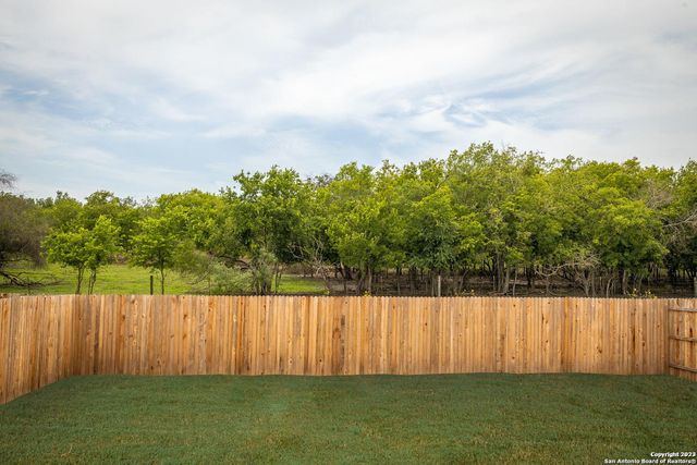 2614 PECHORA PIPIT, New Braunfels, TX 78130
