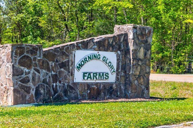 8706 Wooded Vale Court, Harrison, TN 37341