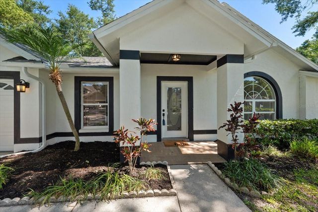 5423 WINDBRUSH DRIVE, Tampa, FL 33625